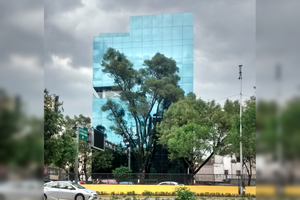 Información sobre la calle Jose Vasconcelos Condesa, Cuauhtémoc